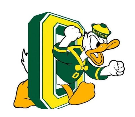 ducks_logo